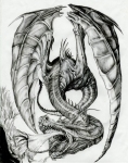 Aerio's dragon